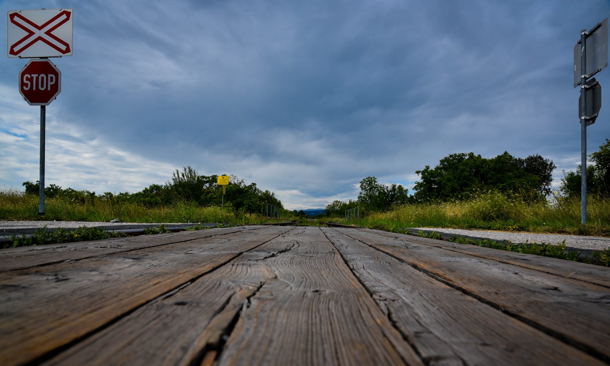 Erkenntnisse der Neurodidaktik aus den Neurowissenschaften